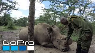 GoPro Cause: Awards Challenge | Show Us How You HERO