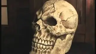Edgy Skull (N0628)