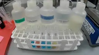 The results of a Benedicts test on water and solutions of glucose, sucrose, starch and milk