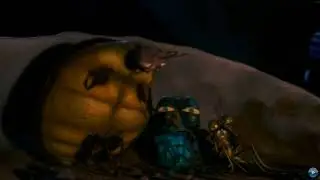 Like Totally - Insectopia