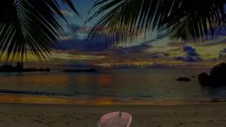 Cushioned Sandal Insoles by walkincomfort.com.au