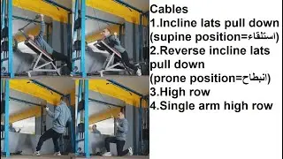 Lats pull down vs High row