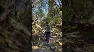 #myfirstvlog #trekking #walkingtour #viral #trending #my #foryou #garden
