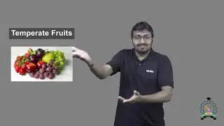 Temperate Fruits