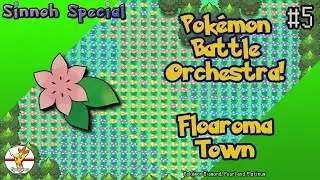 Pok&eacute;mon Battle Orchestra! Floaroma Town