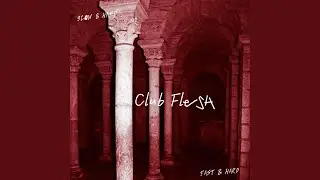 Club Flesh (FASTER & HARDER Version)