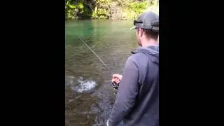 Steelhead line snap. 1/24/15.