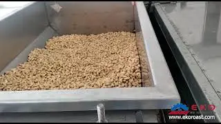 Cashew roasting machine (обжарка кешью)