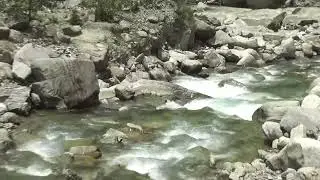 Har Ki Doon Trek through Govind National Park.
