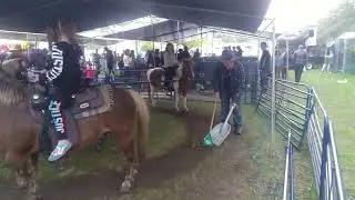 Kids on Pony ride!!