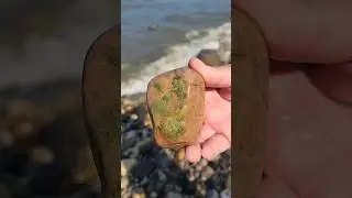 Rockhounding along the Lake Michigan shoreline in SE Wisconsin - #rockhounding #rockhound #rocks