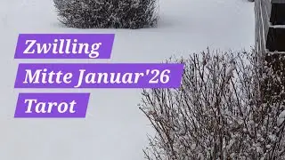 Zwilling♊️ 💖Dein Liebesleben wird sich komplett verändern🥂💖✨️