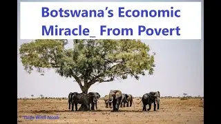 Botswana&rsquo;s Economic Miracle  From Povert