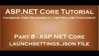 ASP NET Core launchsettings json file