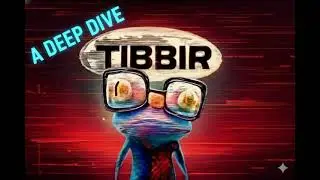 Deep Research - TIBBIR A Deep Dive