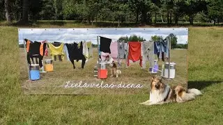 Mini laundry day 2020 / Mini veļas diena 2020