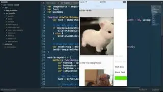 Demo: A NativeScript-built iOS/Android app for building memes
