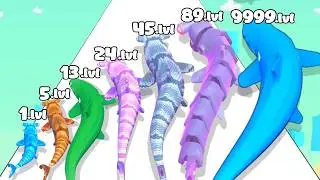 Shark Run 3D - Level Up Shark Fish (SHARK EVOLUTION RUN) Max Level Gameplay