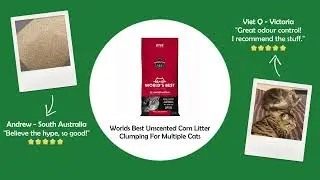 Worlds Best Cat Litter Products @budgetpetproducts
