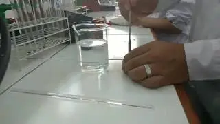 Reacci&oacute;n de potasio y agua/ Qu&iacute;mica