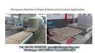 High Capacity Industrial Micowave oven#Micowave oven#machine