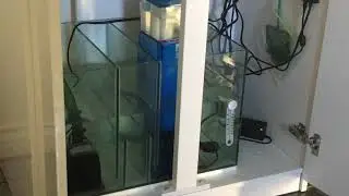 Cadlights cycle salt water aquarium fritzturbo start
