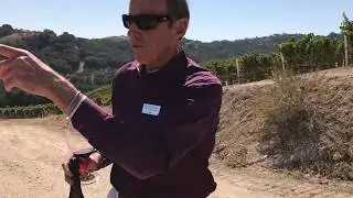 Special private vineyard tour with Adelaida Winery