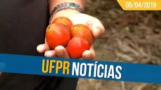 UFPR Not&iacute;cias (05/04/19)