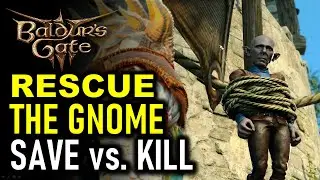Rescue the Gnome: Save the Gnome vs Kill the Gnome | Baldur's Gate 3 (BG3)