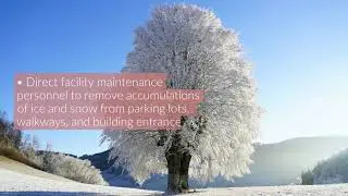 Winter Workers&rsquo; Compensation Claims - (877) 226 - 1027 - Caitlin Morgan Insurance Services