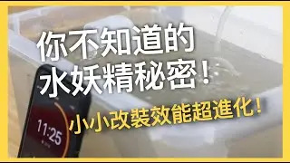 養魚設備改裝 | 你不可不知的水妖精特性| 小小改裝水妖精效能大提升