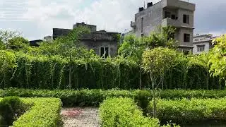 B. P. Koirala Adhyayan Prathisthan, 4K, Landscape Design, evergreen plant and flower, Fruit, Lawn,