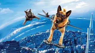 Cats & Dogs: The Revenge of Kitty Galore Full Movie Review & Information | Christina Applegate