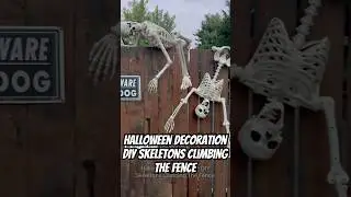 Halloween Decoration DIY Skeletons Climbing The Fence #halloween #skeletons #shorts
