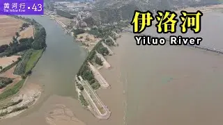 【黄河行▪43】二千年前，曹植《洛神赋》中美丽的伊洛河，如今是什么样?  | 简体字幕