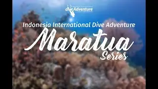 Indonesia International Dive Adventure Season 1: Maratua Series Dec 4th - 8th Dec 2019