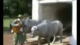 OSCARCITO GODOY-peon tambero