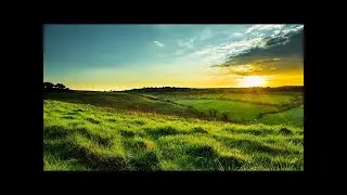 Soothing Irish Music - Irish Meadow | Peaceful, Relaxing, Beautiful ★146
