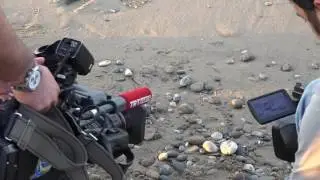 Antalya Valisi Karaloğlu, Manavgat Denizyaka sahilinde caretta caretta yuvalama alanlarını inceledi