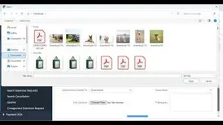 2025 Pet Import Tutorial