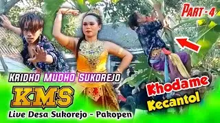 reog kridho mudho sukorejo - reog kms sukorejo feat reog turonggo jati bengkle - reog tjb bengkle