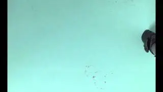 Papertrenz Heat Embossing
