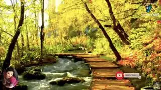 Have a relaxing wednesday night LS! Hello friends kindly stop by here to say Hello, Thank you all!