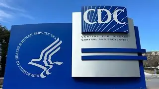 At least 600 CDC employees are getting final termination notices, union says
