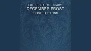 Future Garage Diary: December Frost &mdash; Frost Patterns