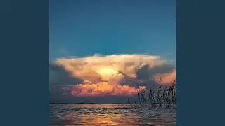 Kerria