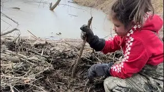 Busting Beaver dams 