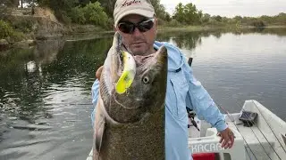 Feather River Low Water Fall Chinook Salmon Fishing