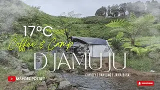 Camping Awal Tahun 2026 Suasana Syahdu 17°C di Djamuju Coffee & Camp Ciwidey | Bandung | Jawa Barat