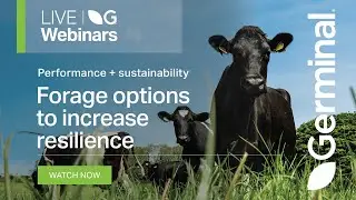 Webinar: Forage Options to Increase Resilience